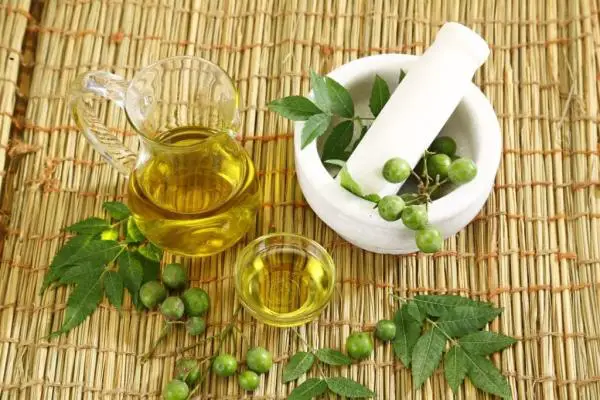 Kuinka poistaa kirput kotoa?  - 1. Neem -öljy