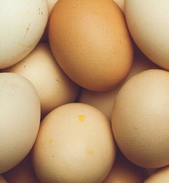 img el codigo en los huevos de gallina que significa 20166 600