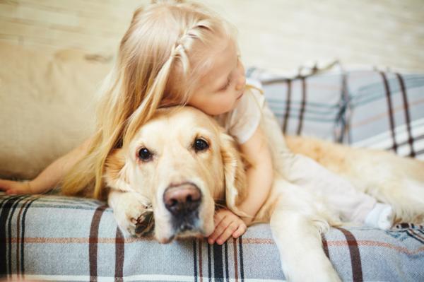 10 asiaa, joita koirat rakastavat - 10. Nukkuminen kanssasi