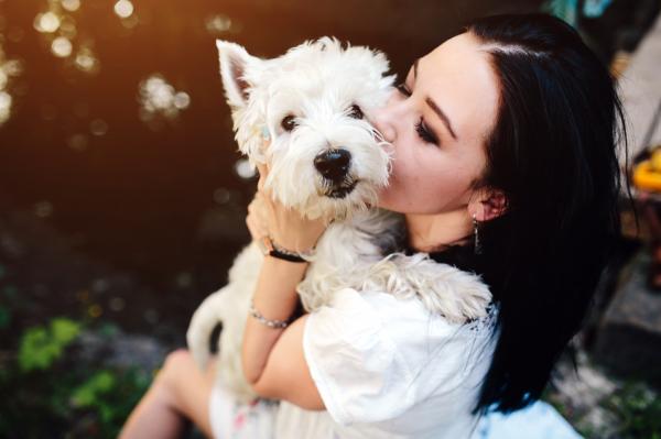 10 asiaa, joita koirat rakastavat - 1. Kiinnitä huomiosi
