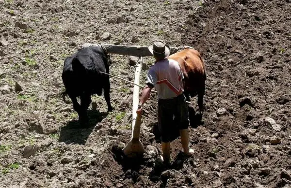 Härän ja härän ero - Härän ja härän ero