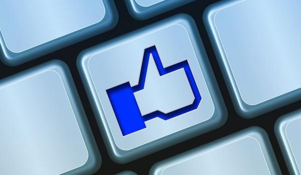 Kuinka tehdä koirastani kuuluisa Instagramissa - Vaihe 5