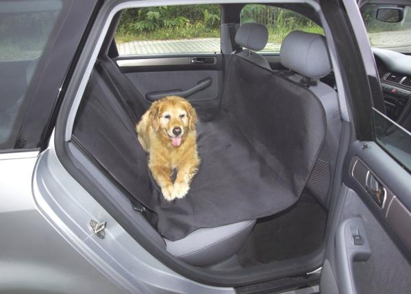 Koiran huimauksen estäminen autossa - Positiivinen yhdistys: auto = hauskaa