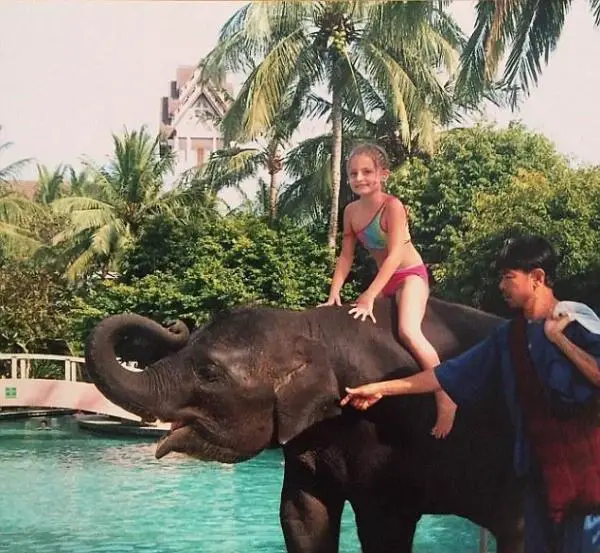 10 eläintä, jotka ovat pelastaneet ihmishenkiä - 5. Thaimaan norsu