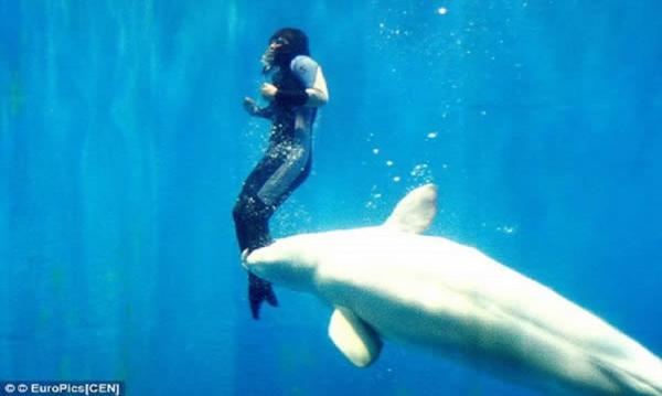 10 eläintä, jotka ovat pelastaneet ihmishenkiä - 7. Mila, beluga -pelastaja