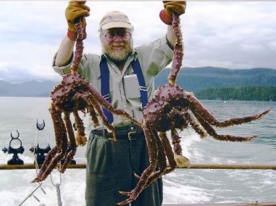 Bering Sea -rapuja - Kuninkaallinen rapu 