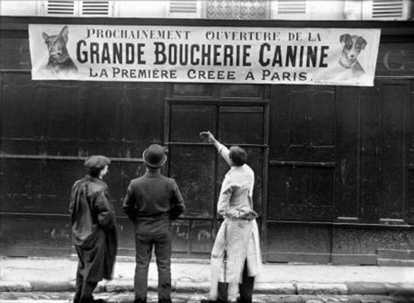 Yulin - Koiranlihafestivaali Kiinassa - Koiranlihan kulutuksen historia