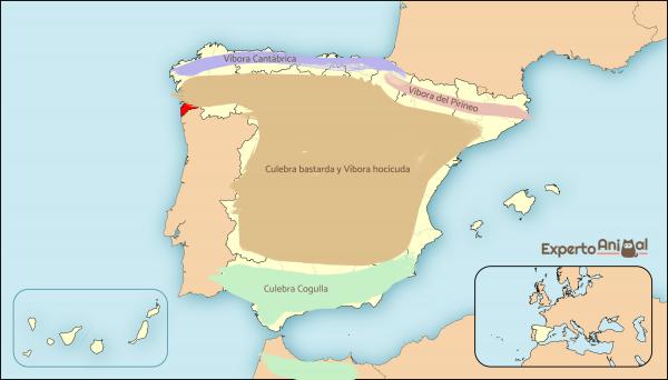 5 myrkyllisten käärmeiden lajia Espanjassa - Snakes and Vipers in Spain - Kartta
