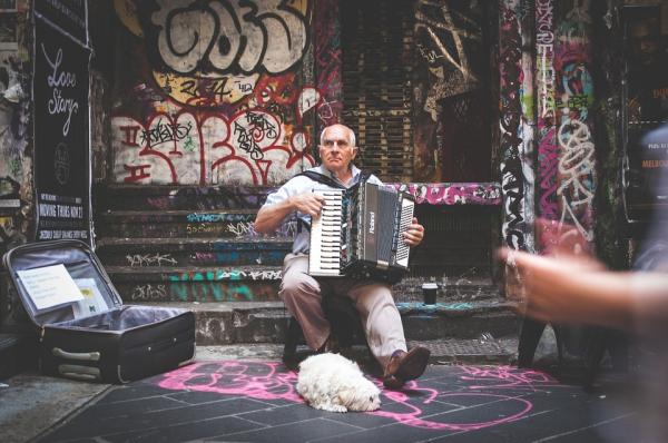 Miksi koirat huutavat musiikin tahdissa?  - Oletko varma, että koirani ei ulvo, koska musiikki häiritsee häntä?