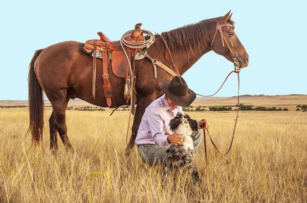Hevoslausekkeet - Cowgirl-hevoslausekkeet