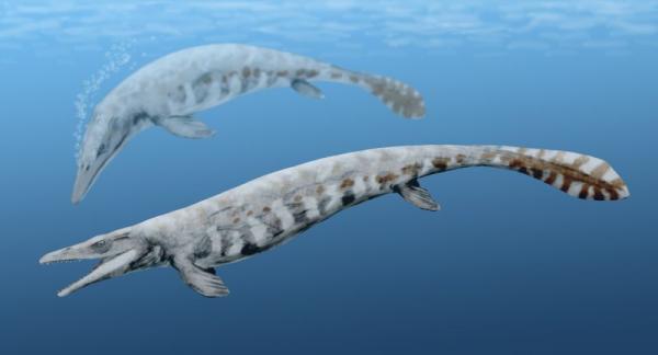 Meridinosaurukset - Nimet ja valokuvat - Mosasaurust
