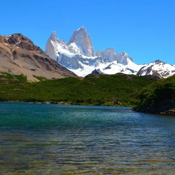Argentiinan Patagonian elaimisto
