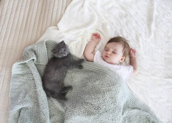 Kissojen ja vauvojen rinnakkaiselo