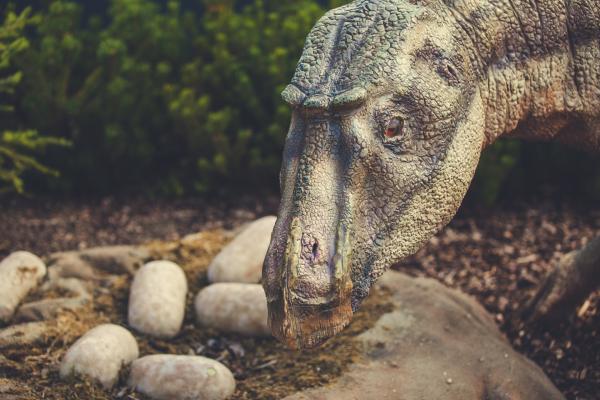 Miten dinosaurukset lisaantyvat ja syntyvat