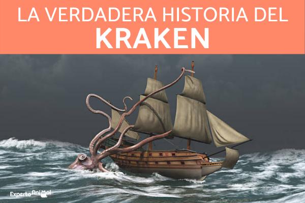 Onko Kraken olemassa? 1 Onko Kraken olemassa