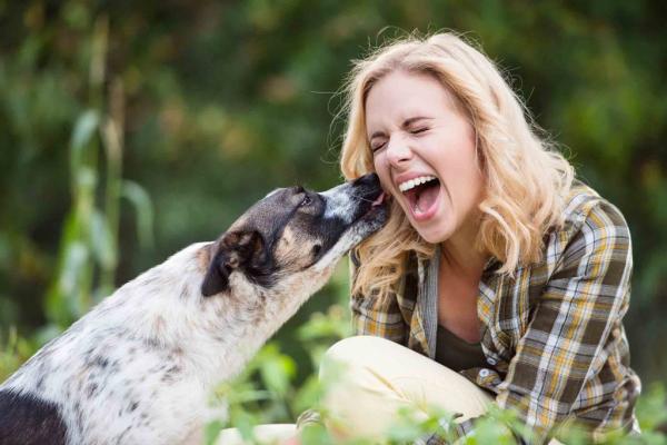 15 asiaa joita koiranomistajien ei tulisi unohtaa