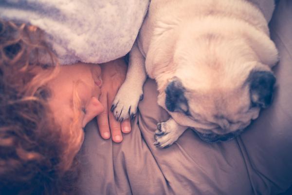 6 syytä, miksi koirasi nukkuu kanssasi - 6. Hän näyttää sinulle rakkautensa