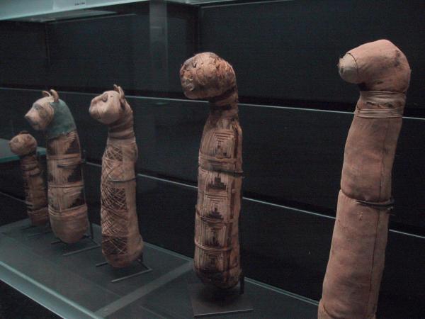Mikä on egyptiläisen kissajumalan nimi?  - Kissat muinaisessa Egyptissä