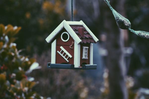 Kuinka houkutella lintuja puutarhaan?  - 3. Tarjoa heille pesä