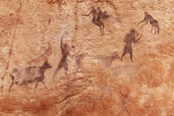 Koiran historia, alkuperä ja kehitys - Koiran evoluutio