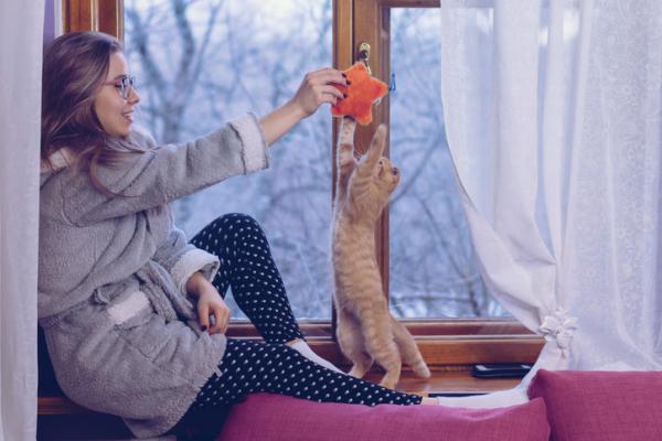 Pitävätkö kissat suudelmista?  - Rakastavatko kissat huoltajiaan? 