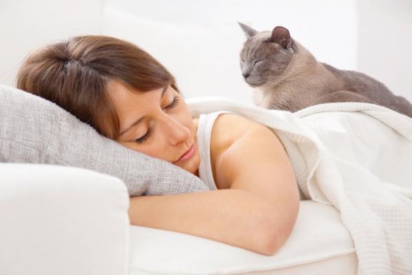 Miksi kissani nukkuu tyynylläni?  - 4. Haluaa viettää aikaa kanssasi