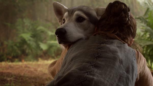 Kaikki Game of Thronesin susista – Millä nimellä Game of Thronesin koiria kutsutaan?