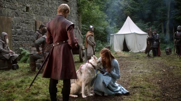 1638010132 553 Kaikki Game of Thronesin susista