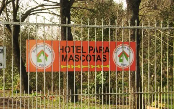 Lemmikkiystävälliset hotellit Buenos Airesissa - Pets Club Pilar