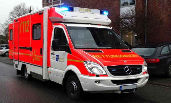 Miksi koirani ulvoo kuultuaan ambulanssin?  - Korkeat äänet, ovatko ne epämiellyttäviä heille?