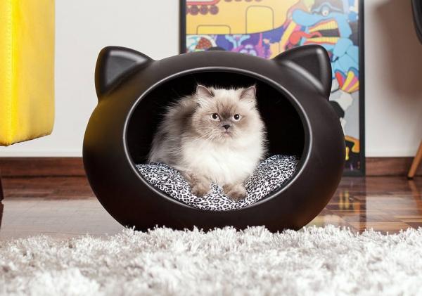 Kissan huonekalut - Amazonin kissansänky