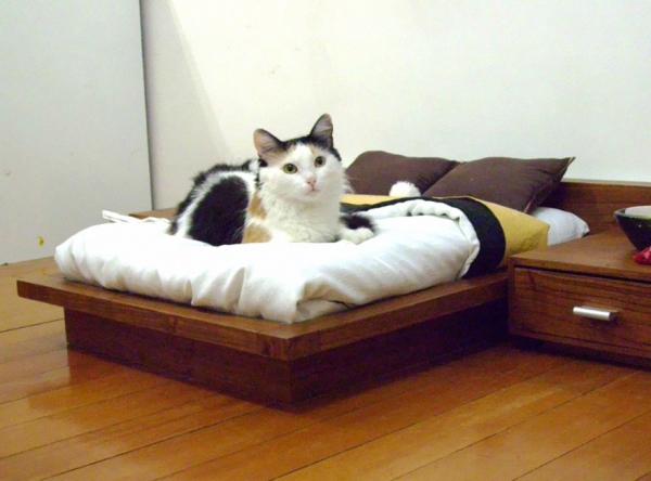 Kissan huonekalut - Japanilaistyylinen kissansänky