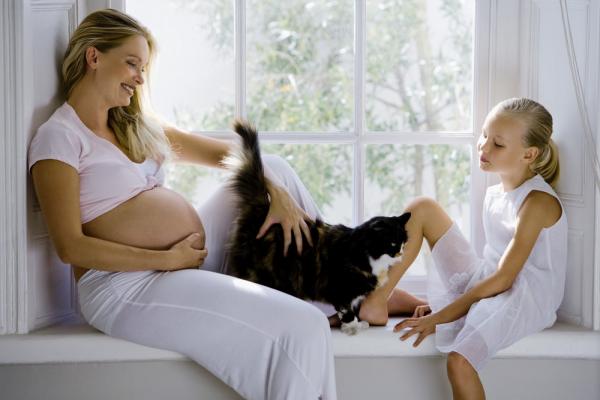 Onko kissojen pitäminen raskauden aikana pahasta?  - Toksoplasmoosi, pelätty sairaus