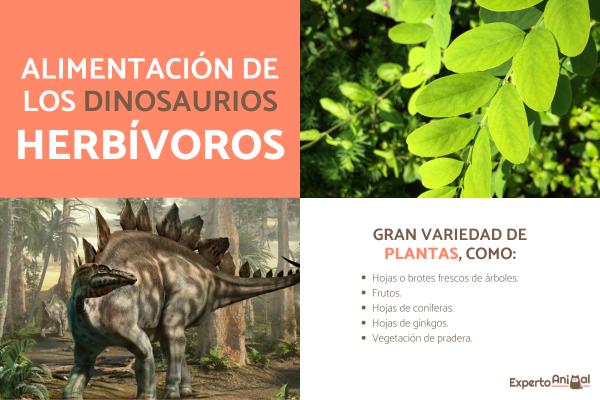 Mitä dinosaurukset söivät?  - Kasvinsyöjien dinosaurusten ruokinta