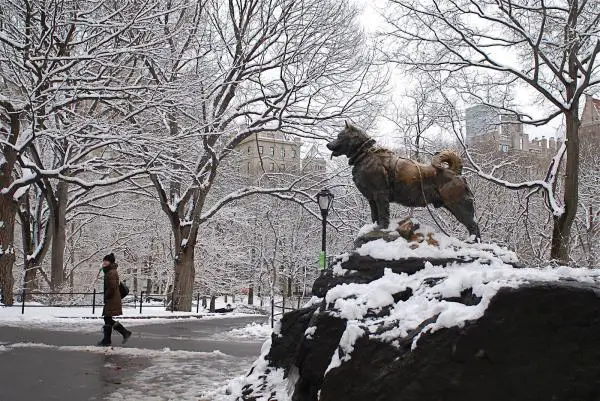 Tarina Baltosta, susikoirasta, josta tuli sankari - Balton patsas Central Parkissa