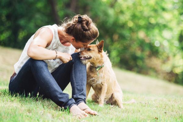 20 datos curiosos de los perros - 9. Tu peludo percibe fácilmente tus cambios de humor