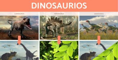 Mita dinosaurukset soivat