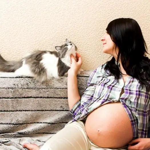 Onko kissojen pitaminen raskauden aikana pahasta